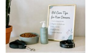 10 Pet Care Tips Every New Pet Owner