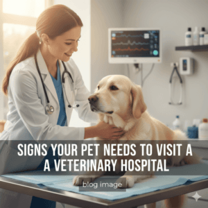 Signs Your Pet Needs to Visit a Veterinary Hospital