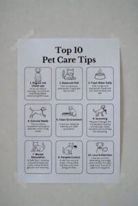 Top 10 Pet Care Tips